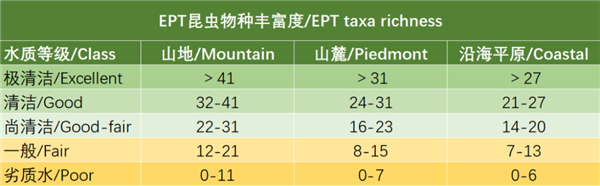 15厘米厚的虫子布满道路惨死车轮下：而这竟是环境变好的征兆