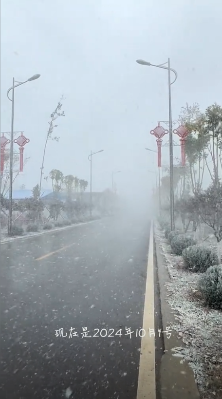 山西大同降大雪：游客白了头