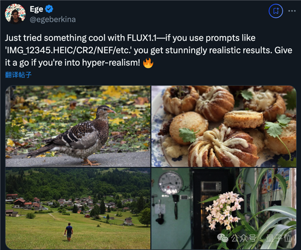 最新AI生图模型Flux1.1刷屏 一个技巧可去图中AI味