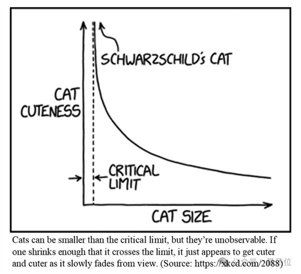 猫猫的运动方程：首次被物理学家破解了！