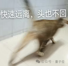 猫猫的运动方程：首次被物理学家破解了！