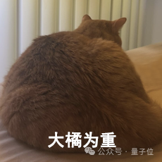 猫猫的运动方程：首次被物理学家破解了！