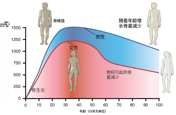 不想老了骨质疏松 劝你多吃这5种食物 尤其女性！