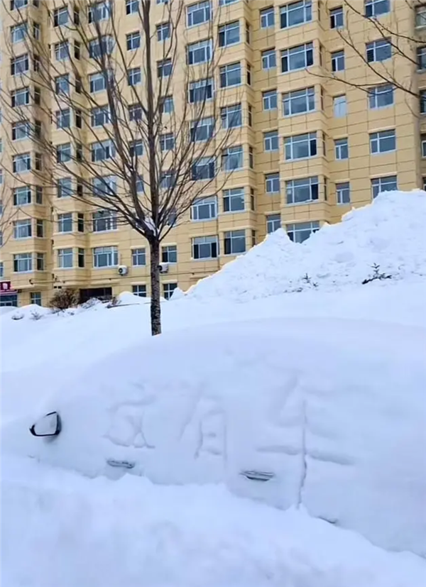 黑龙江暴雪过后 鹤岗车主挖宝寻车：挖到车牌才知道是谁的车